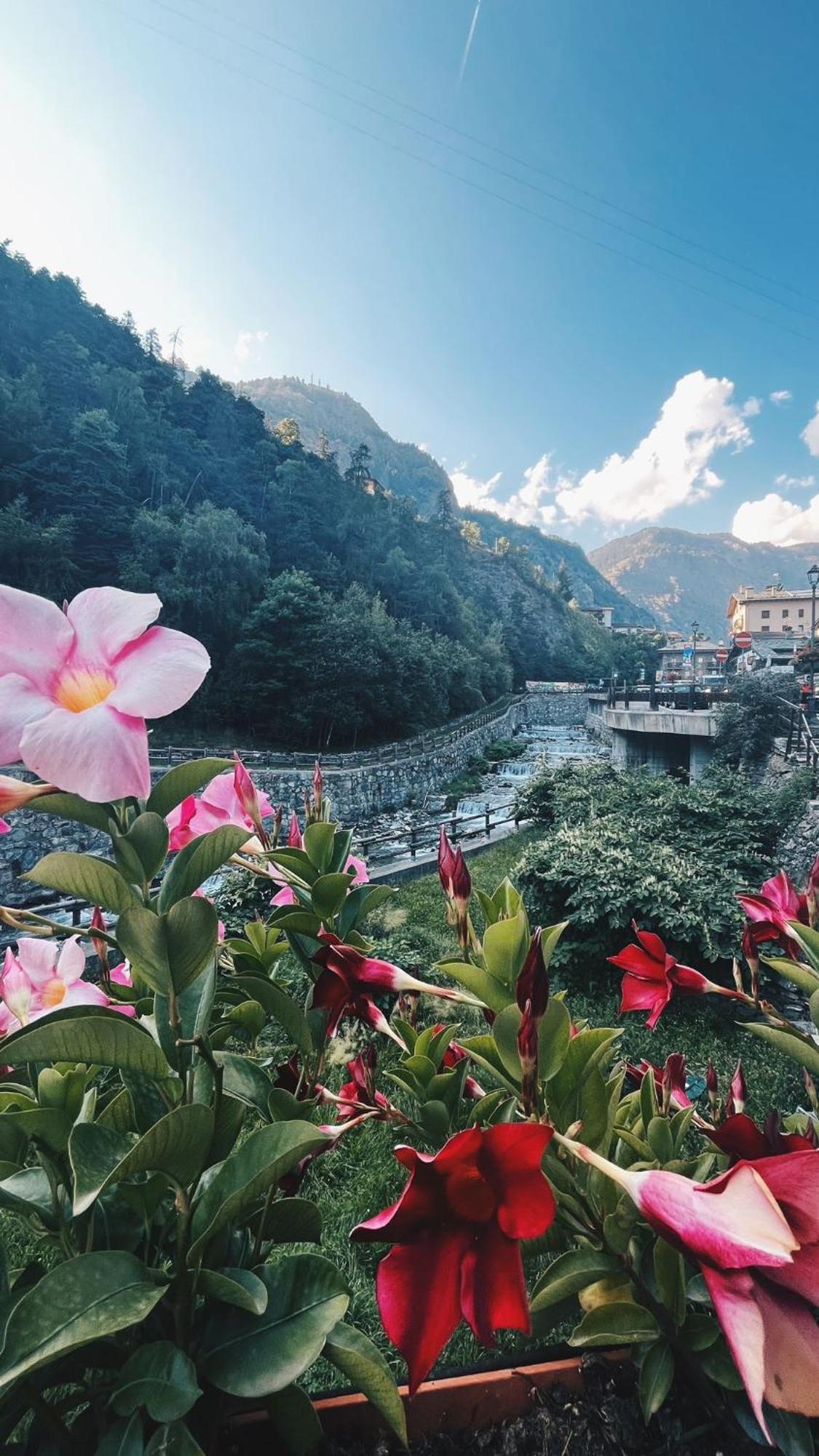 Locanda Monte Cervino Анте-Сент-Андре Экстерьер фото